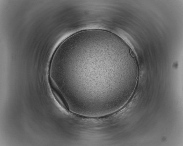 X0000097611197200803071443