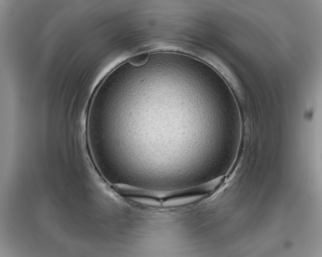 X0000097611198200803071443