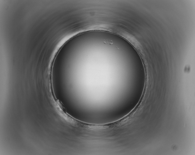 X0000097611200200803071443
