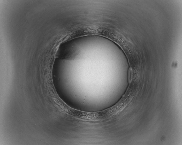 X0000097611201200803071442