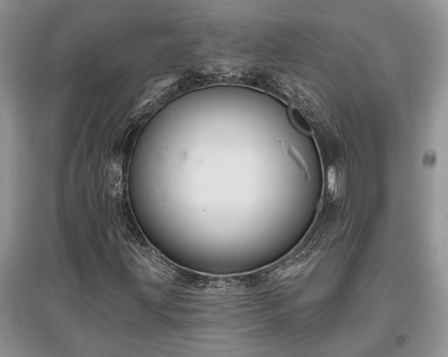 X0000097611203200803071442