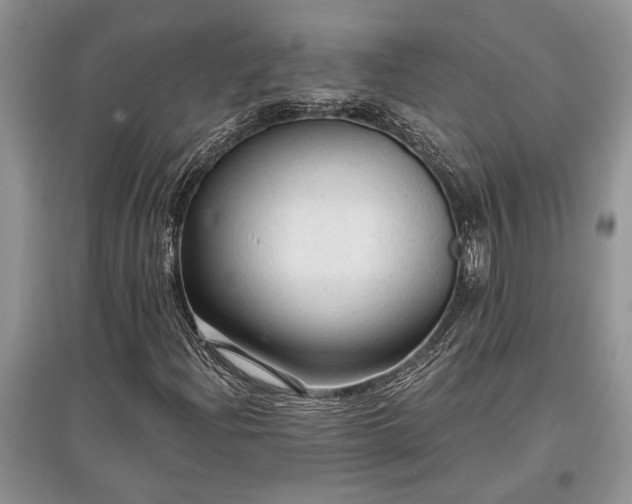 X0000097611204200803071442