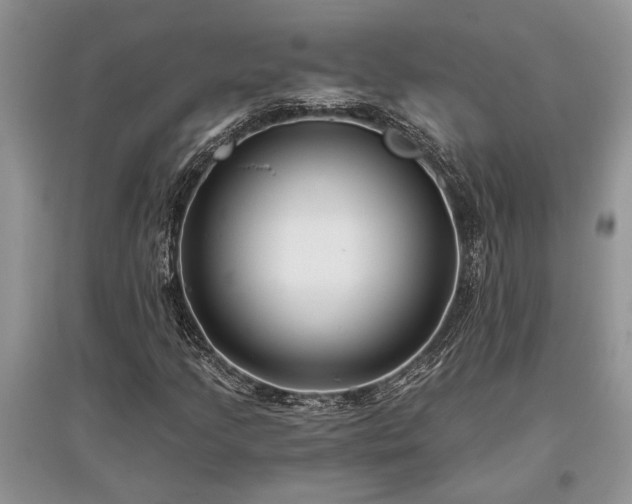 X0000097611205200803071442