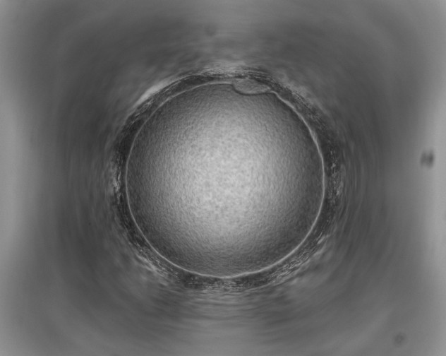 X0000097611206200803071442