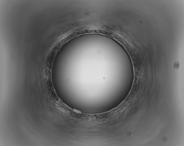 X0000097611207200803071442