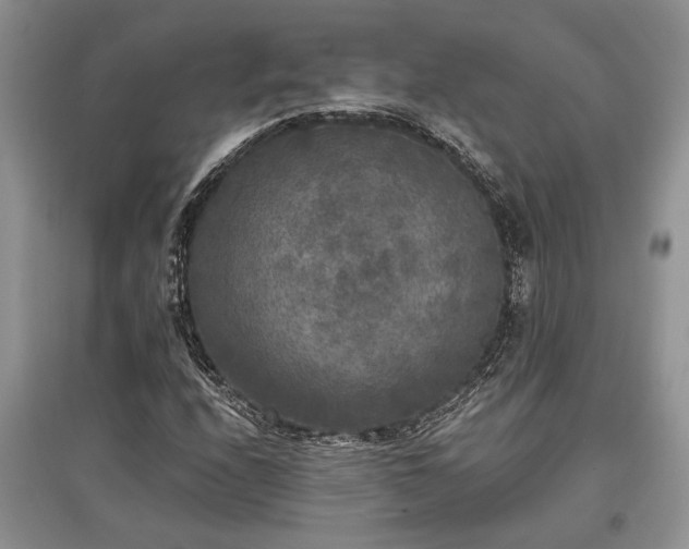 X0000097611208200803071442