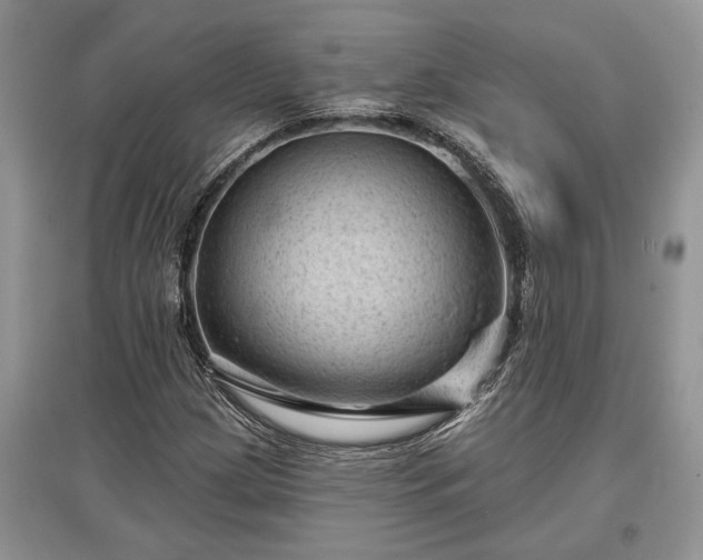 X0000097611209200803071442