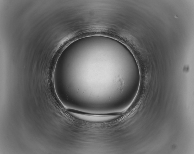 X0000097611210200803071442