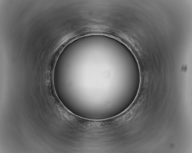 X0000097611211200803071443