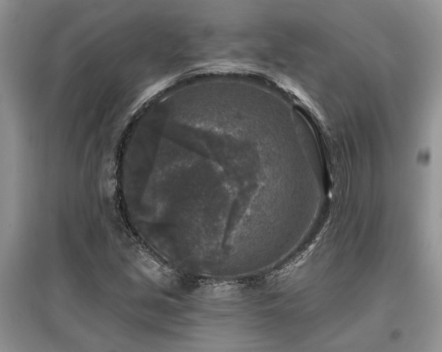 X0000097611213200803071443