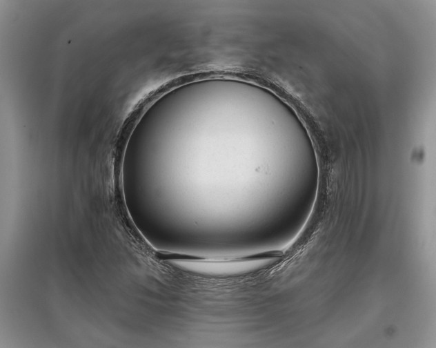 X0000097611214200803071443