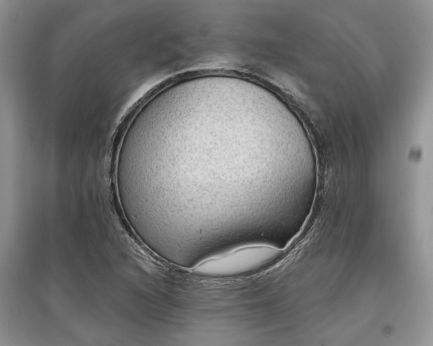 X0000097611216200803071443