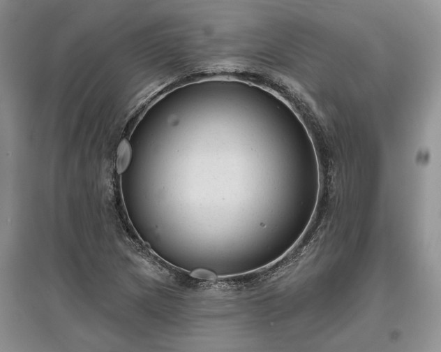 X0000097611217200803071443