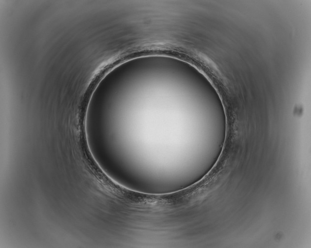X0000097611218200803071443