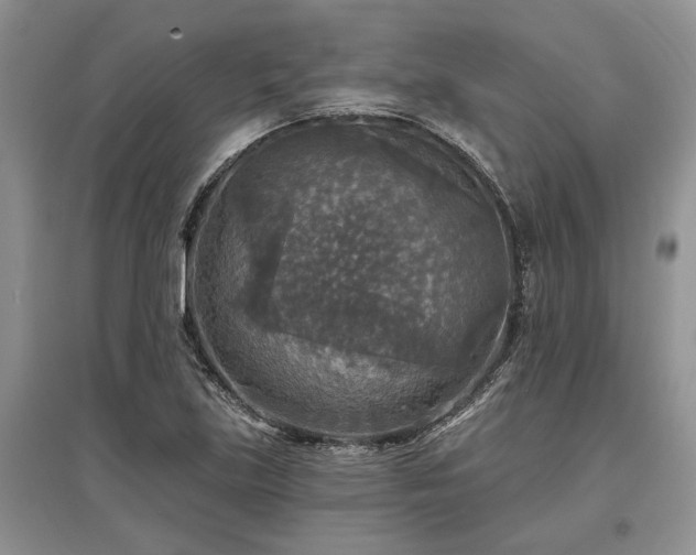 X0000097611219200803071443