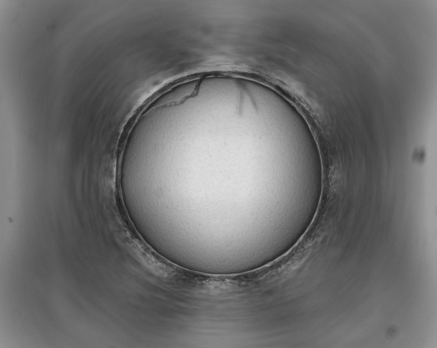 X0000097611220200803071443