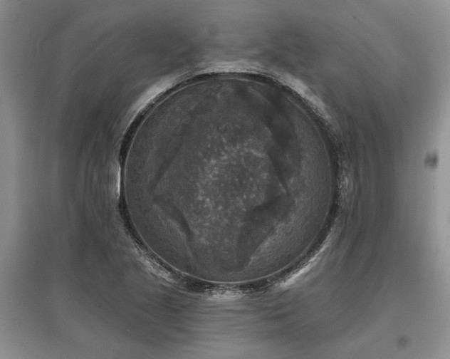 X0000097611221200803071443