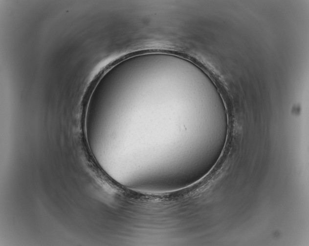 X0000097611222200803071443