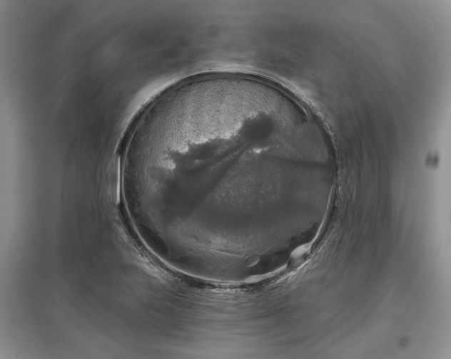 X0000097611223200803071443