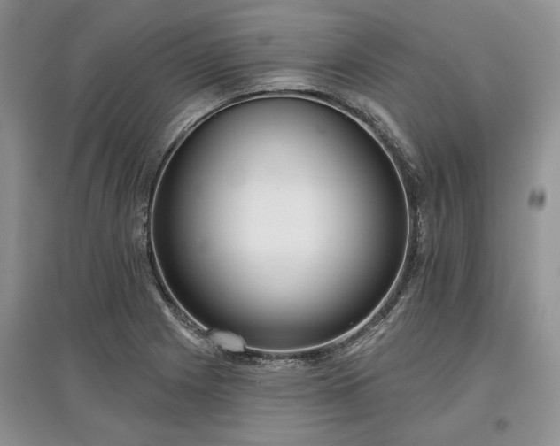 X0000097611225200803071443