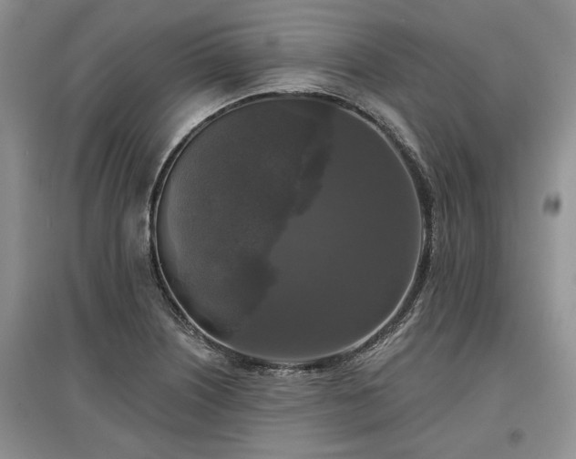 X0000097611226200803071443