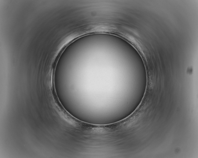 X0000097611227200803071443