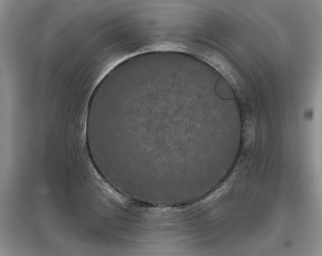 X0000097611228200803071443