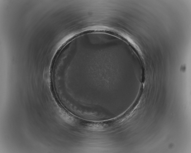 X0000097611229200803071443