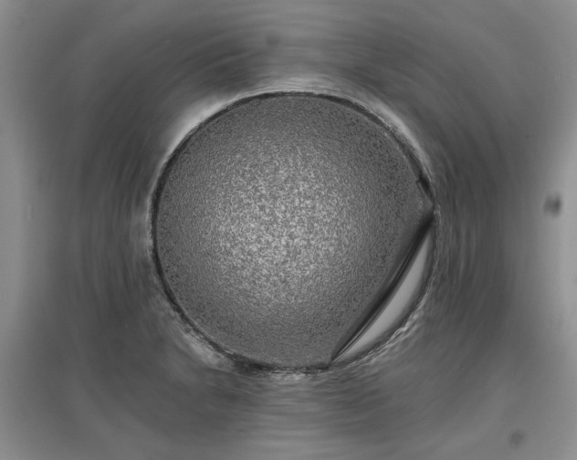 X0000097611230200803071443