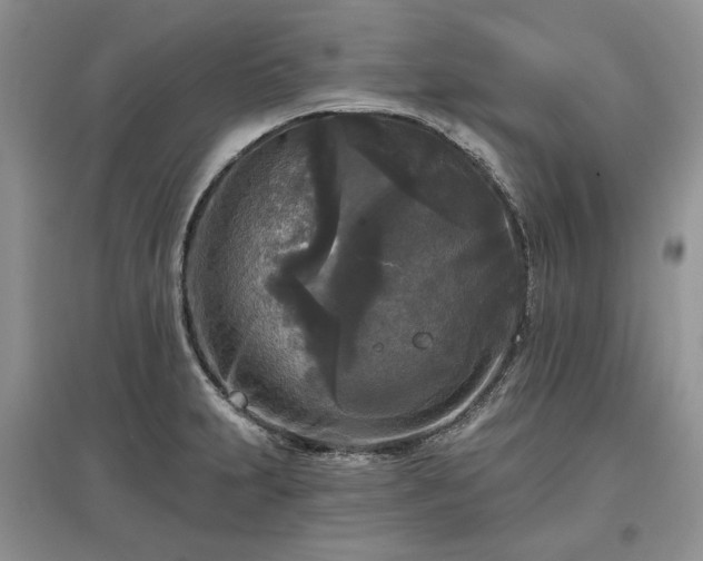 X0000097611231200803071443