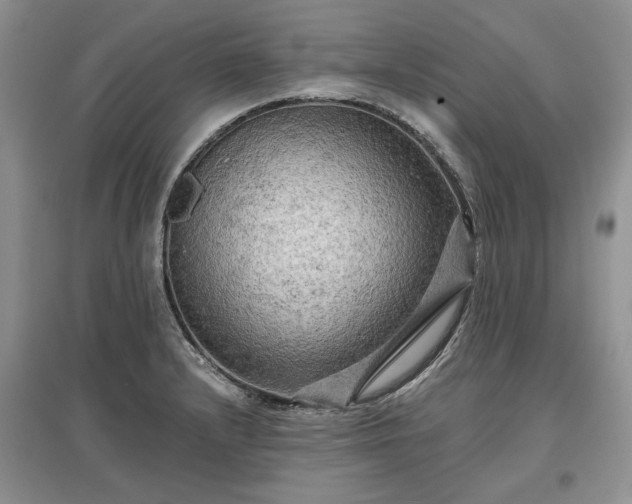 X0000097611232200803071443