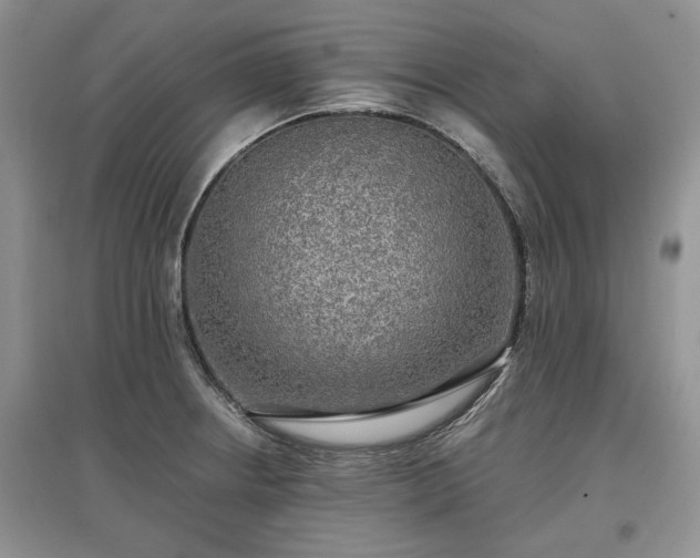 X0000097611234200803071443