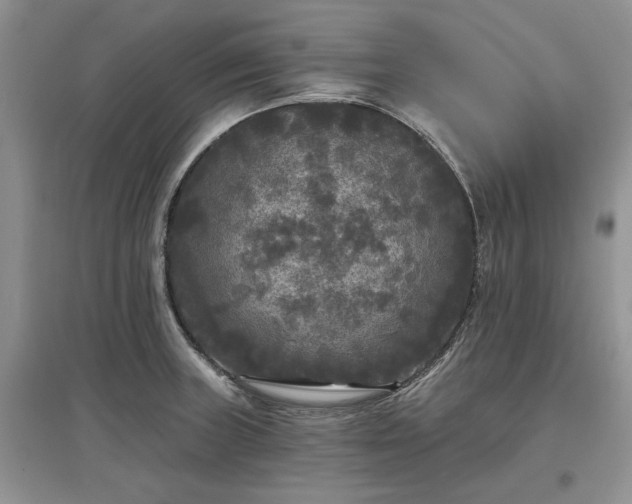 X0000097611235200803071443