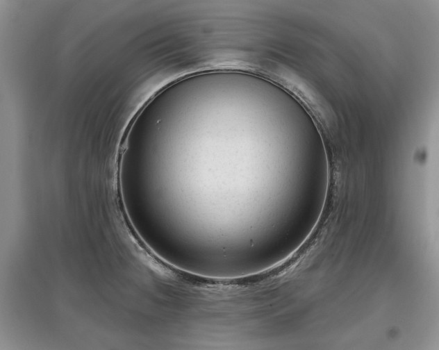 X0000097611236200803071443