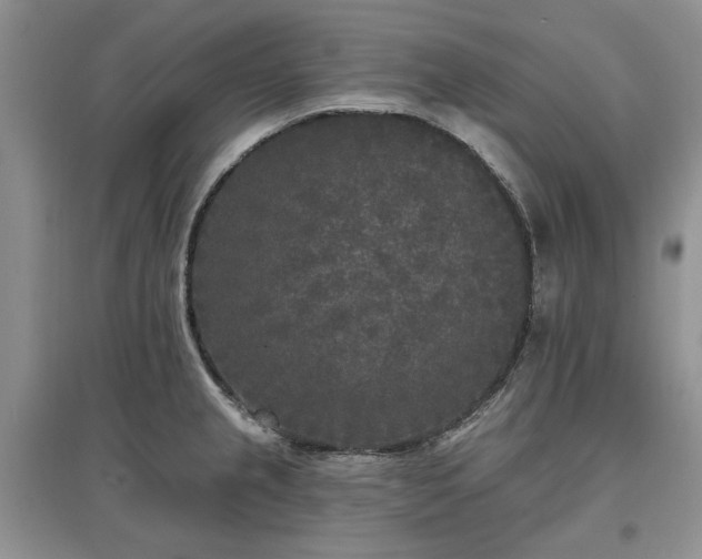 X0000097611237200803071443