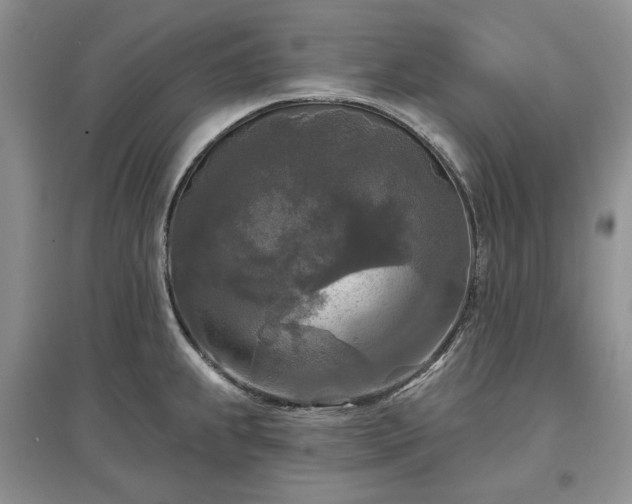 X0000097611239200803071443