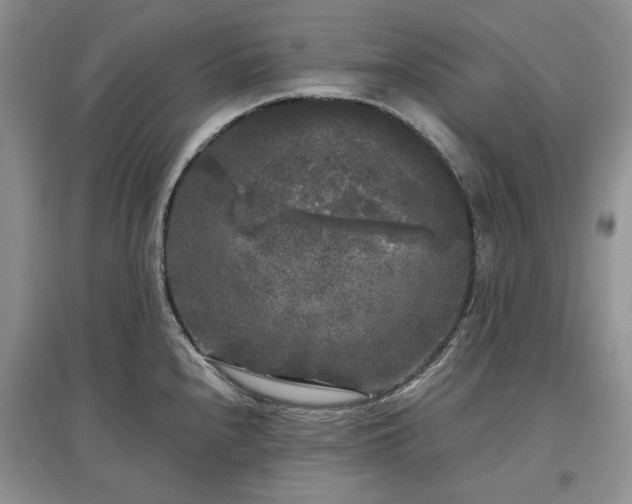 X0000097611240200803071443