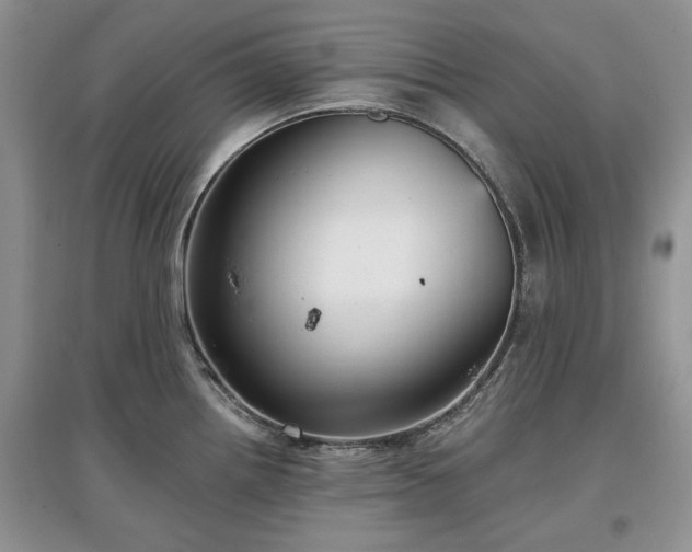 X0000097611242200803071443
