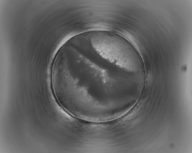 X0000097611243200803071443