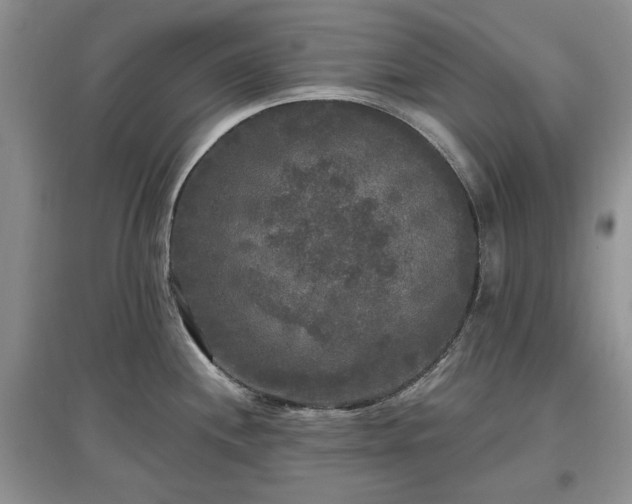 X0000097611244200803071443
