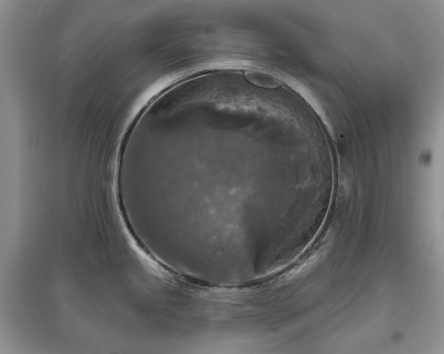 X0000097611245200803071443