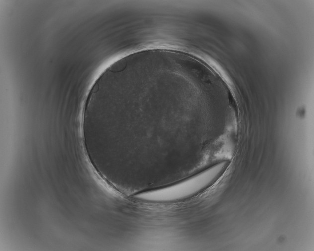 X0000097611246200803071443