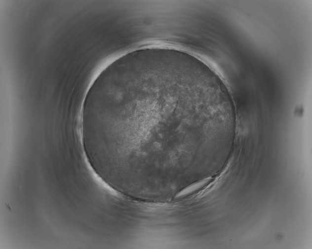X0000097611247200803071443