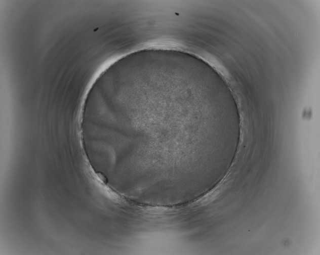 X0000097611248200803071443