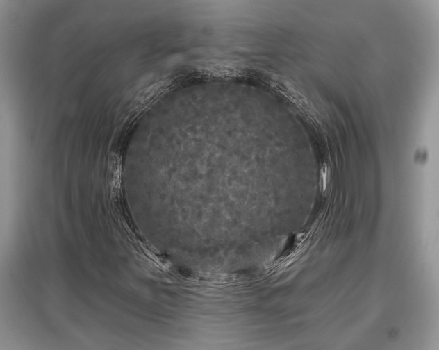 X0000097611251200803071442