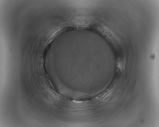 X0000097611252200803071442