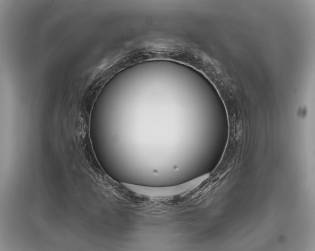 X0000097611253200803071442