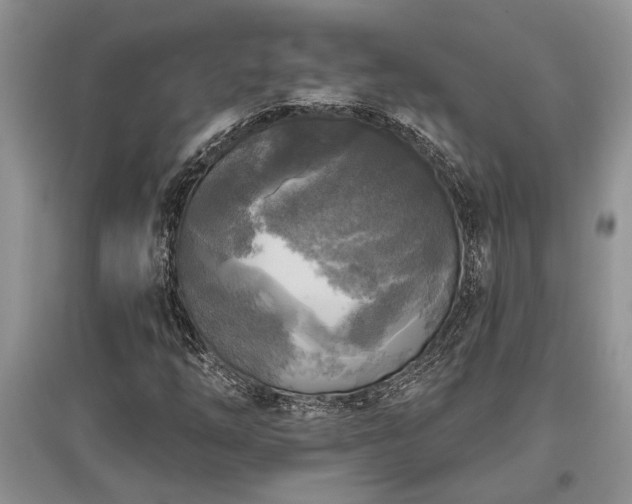 X0000097611254200803071442