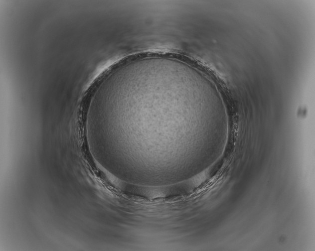 X0000097611256200803071442