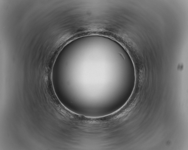X0000097611257200803071442